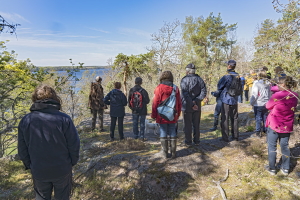 Kaunista kuin Kollilla